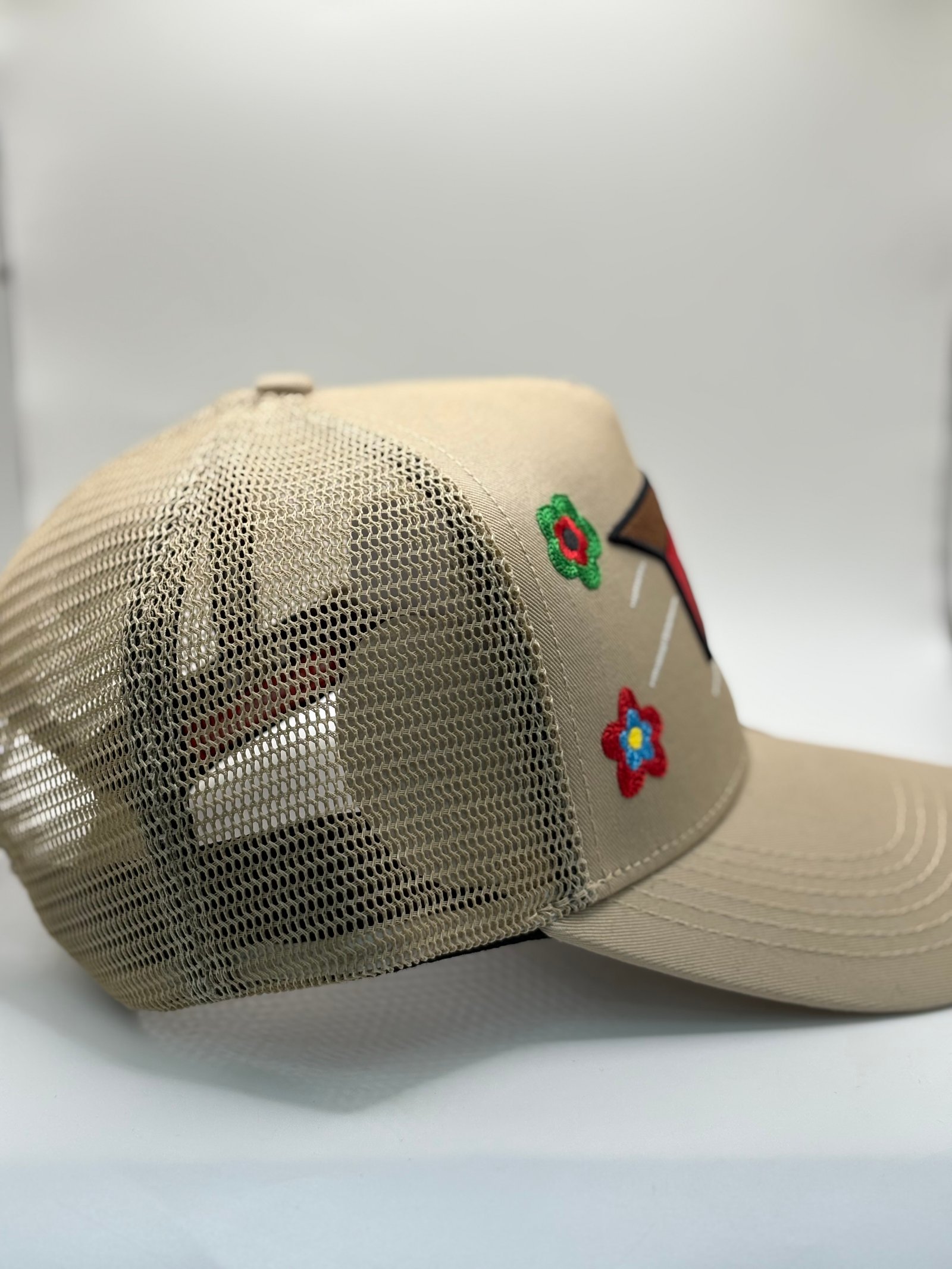 Problematic Pilotito - foto 2